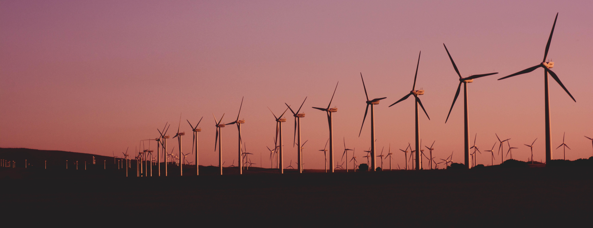 Windmills at sunset