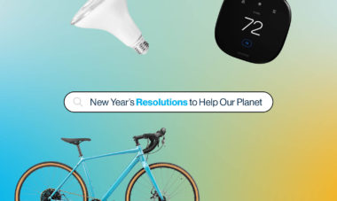 2024 New Year's Resolutions to help our planet