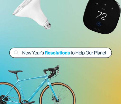 2024 New Year's Resolutions to help our planet