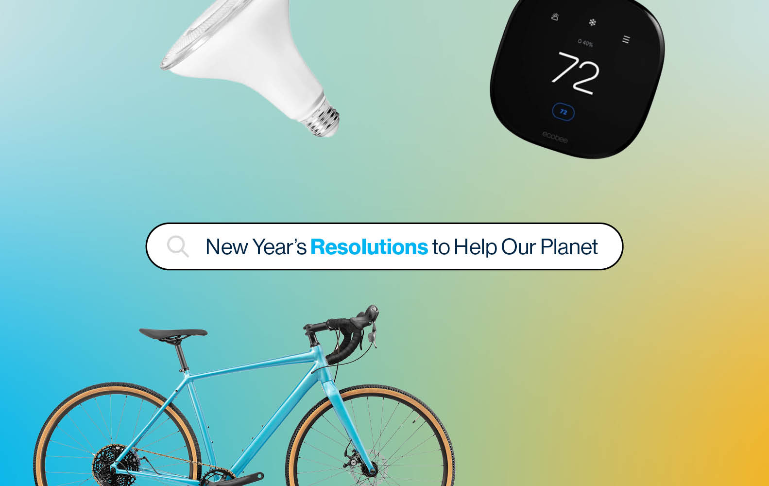 2024 New Year's Resolutions to help our planet