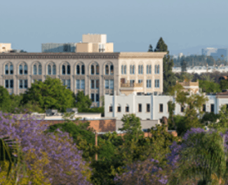 View of a historic-style stone building with purple jacaranda trees in bloom in the foreground.