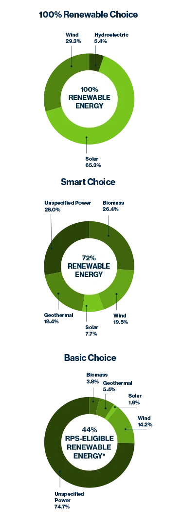 Energy Choices Pie Graph